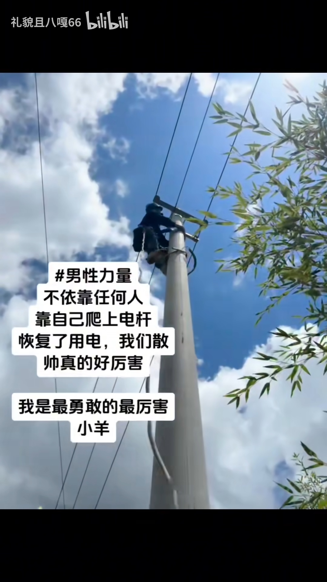 散帅