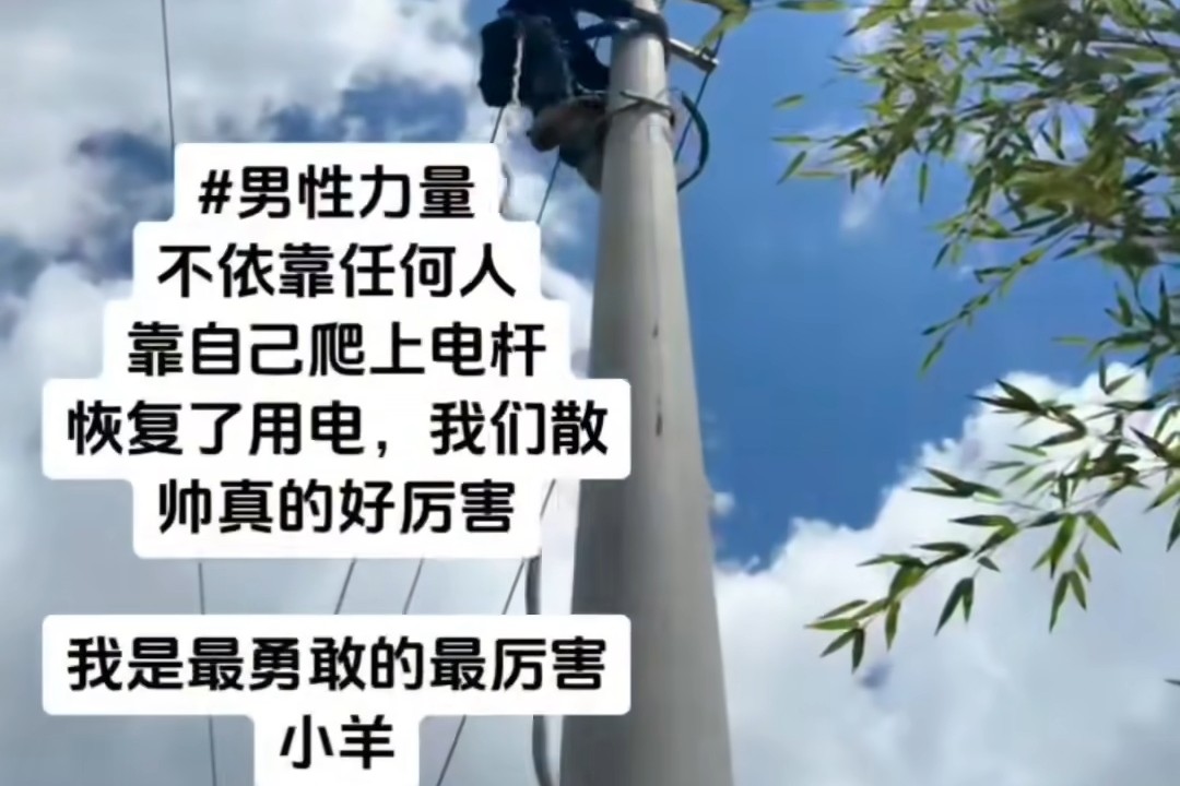 散帅